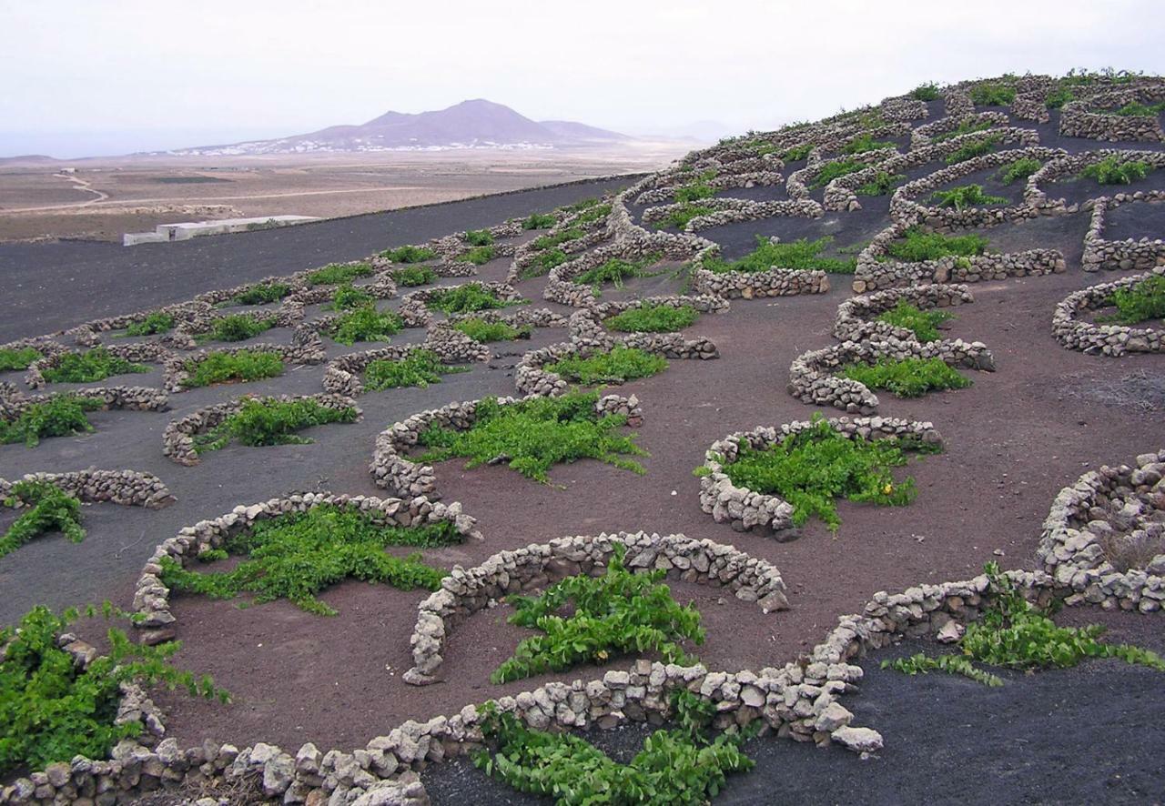 Casa El Gallo Teguise  Εξωτερικό φωτογραφία